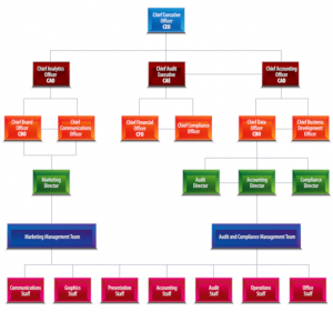 Salesforce Organization Chart