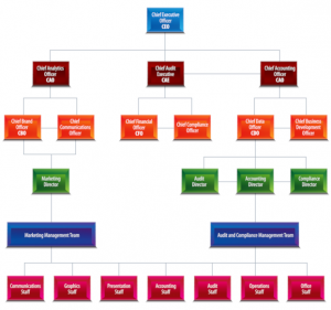 Salesforce Company Org Chart